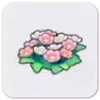 Wildflowers