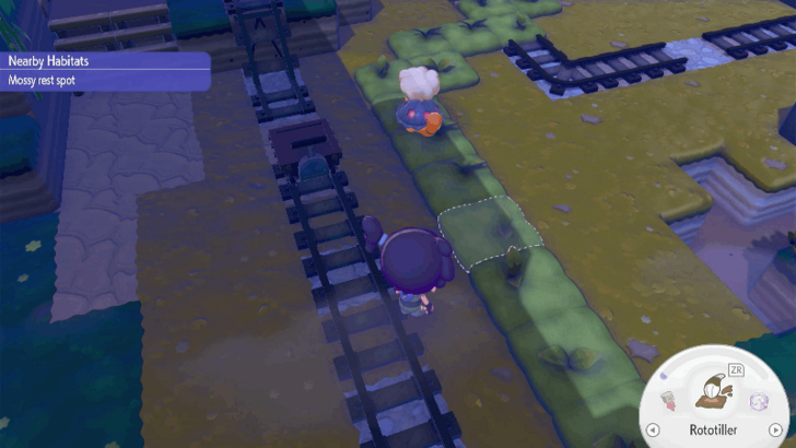Moss path for Torkoal