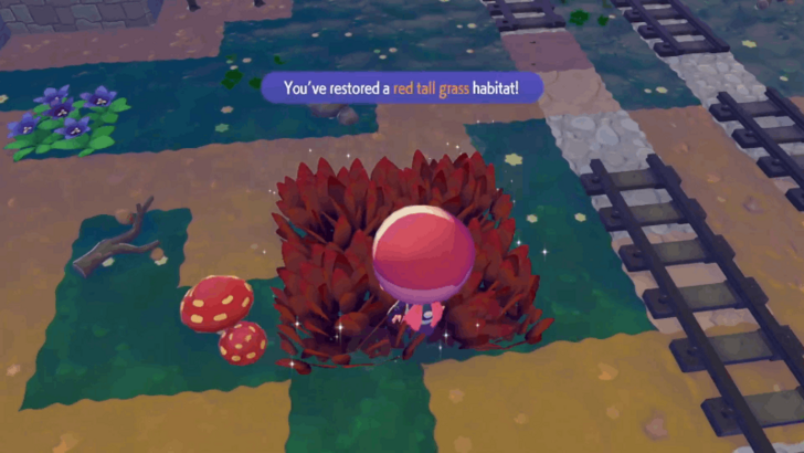 Red Tall Grass