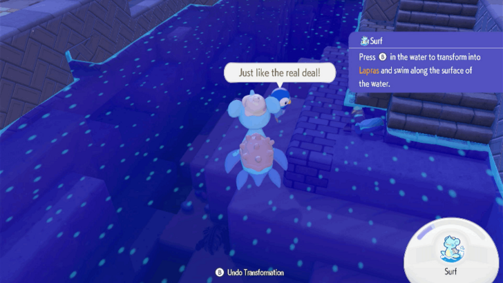 Complete Piplup