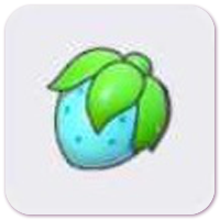 Rawst Berry