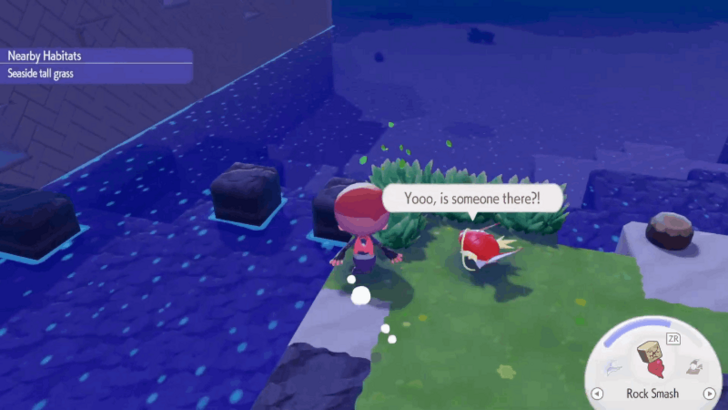 Slowpoke Habitat